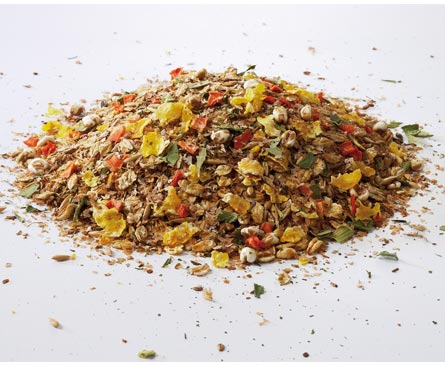 Conseils pour le choix de votre couverture pour votre cheval