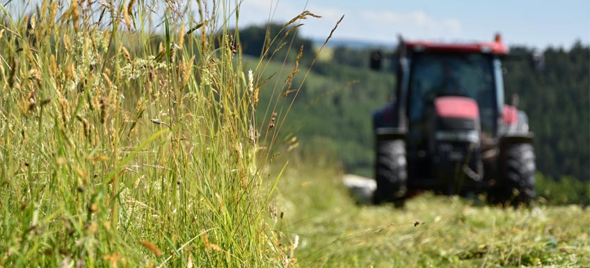 Analyser le fourrage de mon cheval : Quel intérêt ?