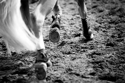 entretien sol entrainement equitation