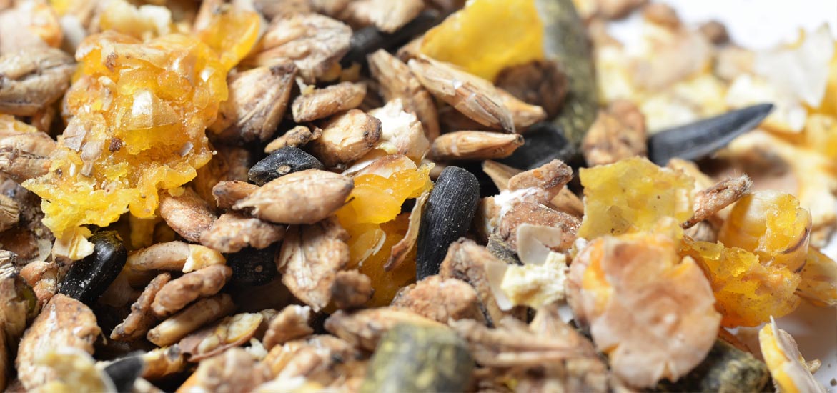 FOCUS NUTRITION EPISODE 3 : Les risques liés à l’amidon