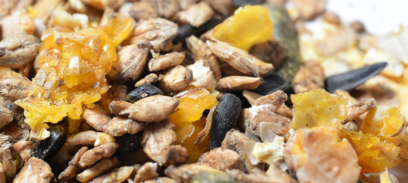 Sec ou humide : Qu’est-ce que les matières sèches ?