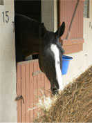 polluants de fourrage