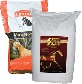 Le son de riz : Quel est l’intérêt de cette matière première chez le cheval ?