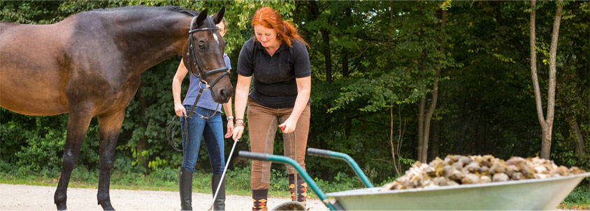 Stockage du fumier et épandage : A quelle réglementation les structures équestres sont-elles soumises ? Stockage du fumier et épandage : A quelle réglementation les structures équestres sont-elles soumises ?