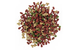 Mag Life Croc Cat - 4kg