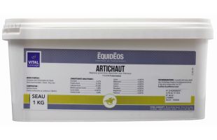 Artichaut - Poudre - 1kg