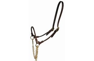 Licol de présentation