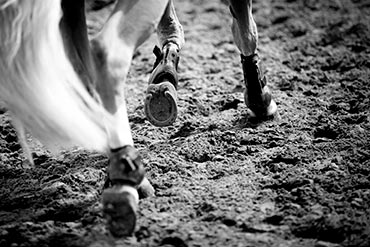 L’entretien des sols des terrains d’entraînement