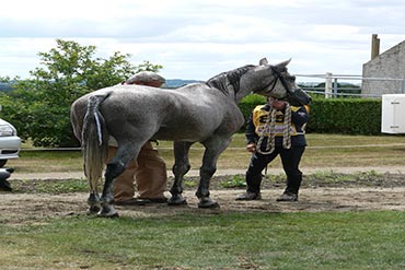 Myosite, prise en charge et prévention