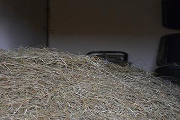 Choisissez les bons aliments !