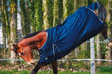 Comment bien choisir la couverture de votre cheval ?