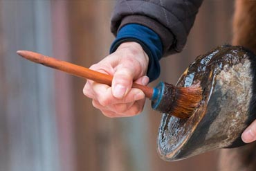 Comment entretenir les pieds de mon cheval pendant l’hiver ?