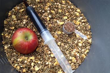 Comment et quand utiliser des compléments alimentaires pour mon cheval ?