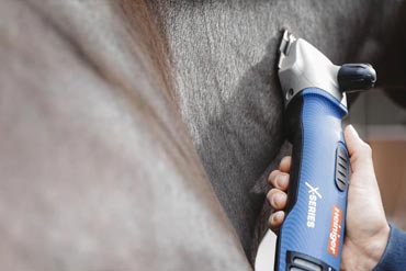 Est-il obligatoire de tondre son cheval en hiver ?