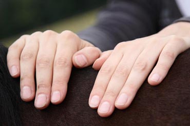 Note d’état corporel du cheval